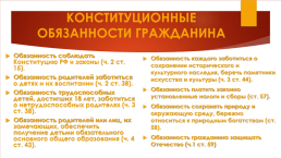 12 декабря день Конституции РФ, слайд 21