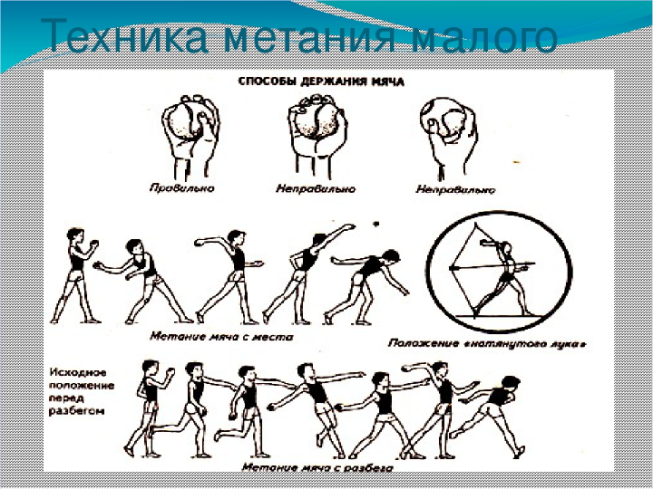 Растительный мир Ульяновской области