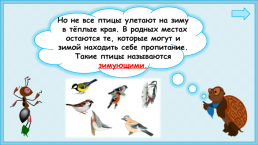 Презентация к уроку окружающего мира, 1 класс умк «Школа России». «Как зимой птицам помочь?», слайд 12