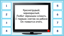 Презентация к уроку окружающего мира, 1 класс умк «Школа России». «Как зимой птицам помочь?», слайд 6