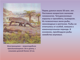 Флора и фауна палеозойской эры часть 2, слайд 11