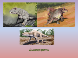 Флора и фауна палеозойской эры часть 2, слайд 8
