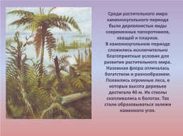 Флора и фауна палеозойской эры часть 1, слайд 41