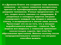 На тему «Интересные факты о земноводных», слайд 9