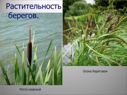 Озеро Бисерово, слайд 22