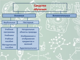 Средства обучения биологии, слайд 38