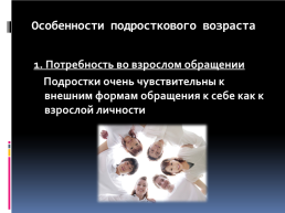 Применение информационно-коммуникативных технологий на уроках русского языка и литературы, слайд 21