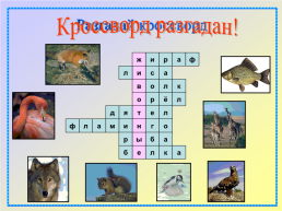 Разгадай кроссворд, слайд 9