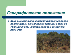 Смешанные широколиственные леса, слайд 3