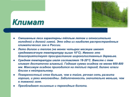 Смешанные широколиственные леса, слайд 4