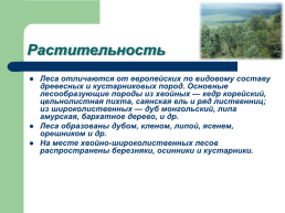 Смешанные широколиственные леса, слайд 5