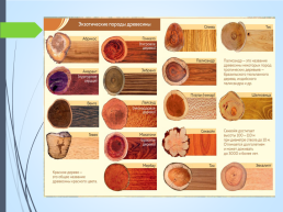 Пиломатериалы и древесные материалы, слайд 14