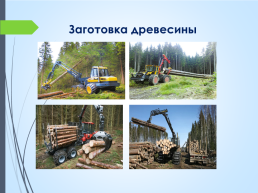 Пиломатериалы и древесные материалы, слайд 18