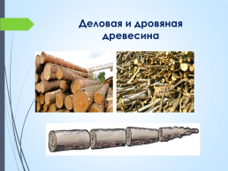 Пиломатериалы и древесные материалы, слайд 20