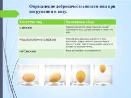 Значение яиц в питании человека, слайд 6