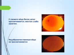 Значение яиц в питании человека, слайд 9