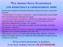 Наши четвероногие друзья,. Или откуда берутся бездомные животные, слайд 14