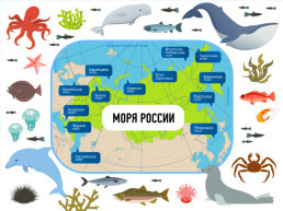 Сохранение морских экосистем, слайд 3
