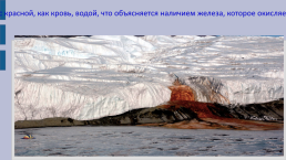 «Антарктида — материк загадок». Классный час, слайд 19