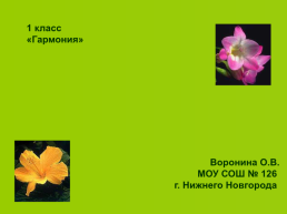 Декоративные растения, слайд 1