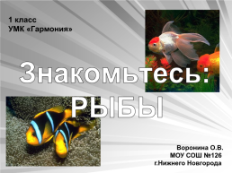 Знакомьтесь: рыбы, слайд 1