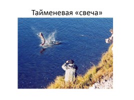 Природа Байкала, слайд 22