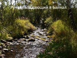 Природа Байкала, слайд 5