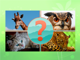 Урок окружающего мира в 3 классе по теме: «Разнообразие животных», слайд 11