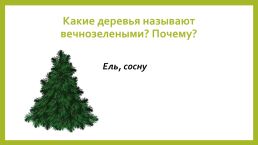 Викторина для младших школьников. Знаешь ли ты природу?, слайд 5