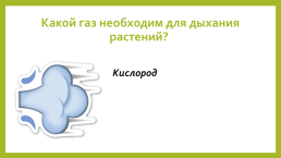 Викторина для младших школьников. Знаешь ли ты природу?, слайд 9