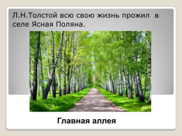 Жизнь и творчество Льва Николаевича Толстого рассказы для детей, слайд 7