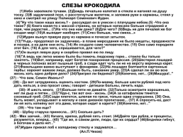 Система упражнений по обучению комментарию к основной проблеме текста и аргументации собственного мнения, слайд 17