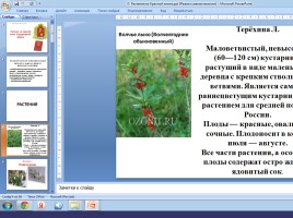 Дистанционное обучение в начальной школе, слайд 36