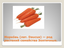 Лекарственные растения Благовещенского района, слайд 14