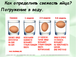 Блюда из яиц, слайд 10