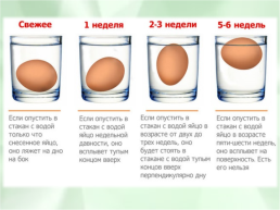 Блюда из яиц, слайд 14