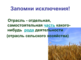 Правописание чередующихся гласных в корнях слов, слайд 13