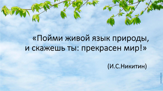 Пойми живой язык природы, и скажешь ты: прекрасен мир! (И.С.Никитин)