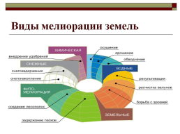 Почвенные и земельные ресурсы России, слайд 12