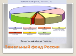 Почвенные и земельные ресурсы России, слайд 5