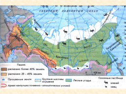 Почвенные и земельные ресурсы России, слайд 8