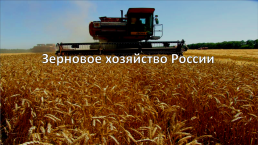 Зерновое хозяйство России, слайд 1