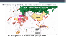 Зерновое хозяйство России, слайд 7