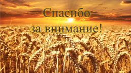 Зерновое хозяйство России, слайд 8