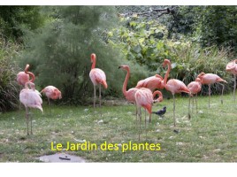 Les jardins et les parcs de Paris, слайд 8