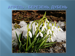 Названия месяцев в славянской мифологии, слайд 8