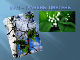Названия месяцев в славянской мифологии, слайд 9
