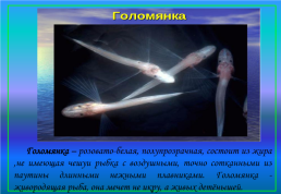 Живой мир озера Байкал и прибайкалья, слайд 9