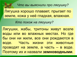 Окружающий мир разнообразие животных 2 класс, слайд 10