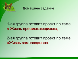 Окружающий мир разнообразие животных 2 класс, слайд 14